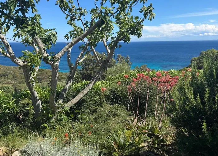 Maison Vue Palombaggia Prázdninový dům *